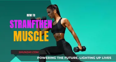 Build Muscle Strength: Effective Strategies for Powerful Results
