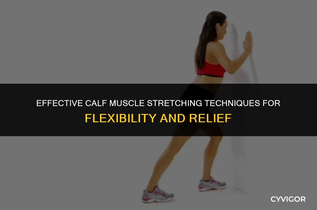 how to strech calf muscle