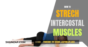 Stretching Intercostal Muscles: Techniques for Relief and Better Breathing