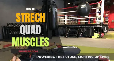 Effective Quad Stretching Techniques for Muscle Flexibility