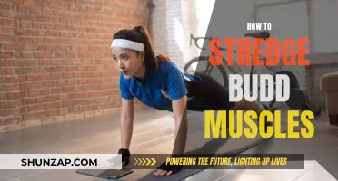 Building Strong Strides: Targeting Budding Muscle Growth