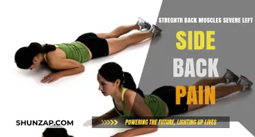 Effective Back Strengthening Exercises to Relieve Severe Left Side Pain