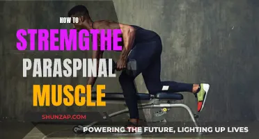 Paraspinal Muscle Strengthening: Simple Strategies for Quick Results