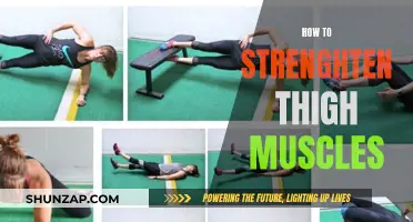 Thigh Muscle Strengthening: Effective Strategies for Powerful Legs