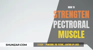 Strengthen Your Pectoral Muscles: The Ultimate Guide