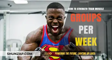Effective Weekly Strength Training Plan for Targeted Muscle Groups