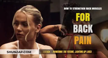 Effective Back Muscle Strengthening Techniques to Relieve and Prevent Back Pain