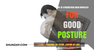 Build a Stronger Back: Simple Exercises for Perfect Posture