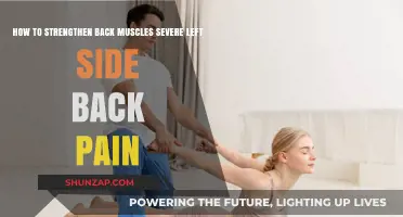 Effective Back Muscle Strengthening Techniques to Relieve Severe Left Side Pain
