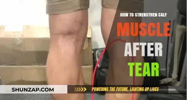 Rebuilding Strength: A Guide to Calf Muscle Recovery Post-Tear