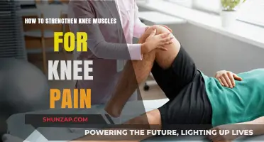 Effective Exercises to Strengthen Knee Muscles and Relieve Knee Pain