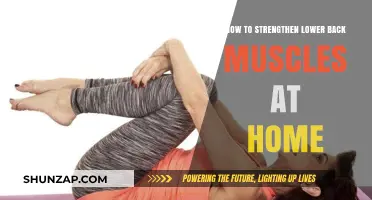Empower Your Core: Effective Lower Back Exercises for Home Workouts