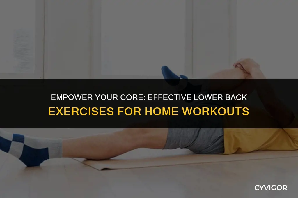 how to strengthen lower back muscles at home