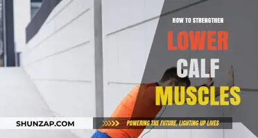 Building Strong Calves: Effective Exercises and Tips for Lower Calf Strength