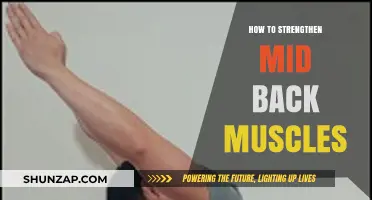 Empower Your Core: Effective Exercises to Strengthen Mid Back Muscles