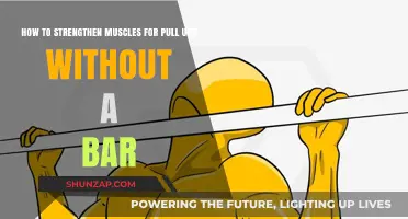 Build Pull-Up Strength: Effective Exercises Without a Bar