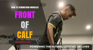 Powerful Calf Muscles: Exercises and Tips for Strengthening the Front