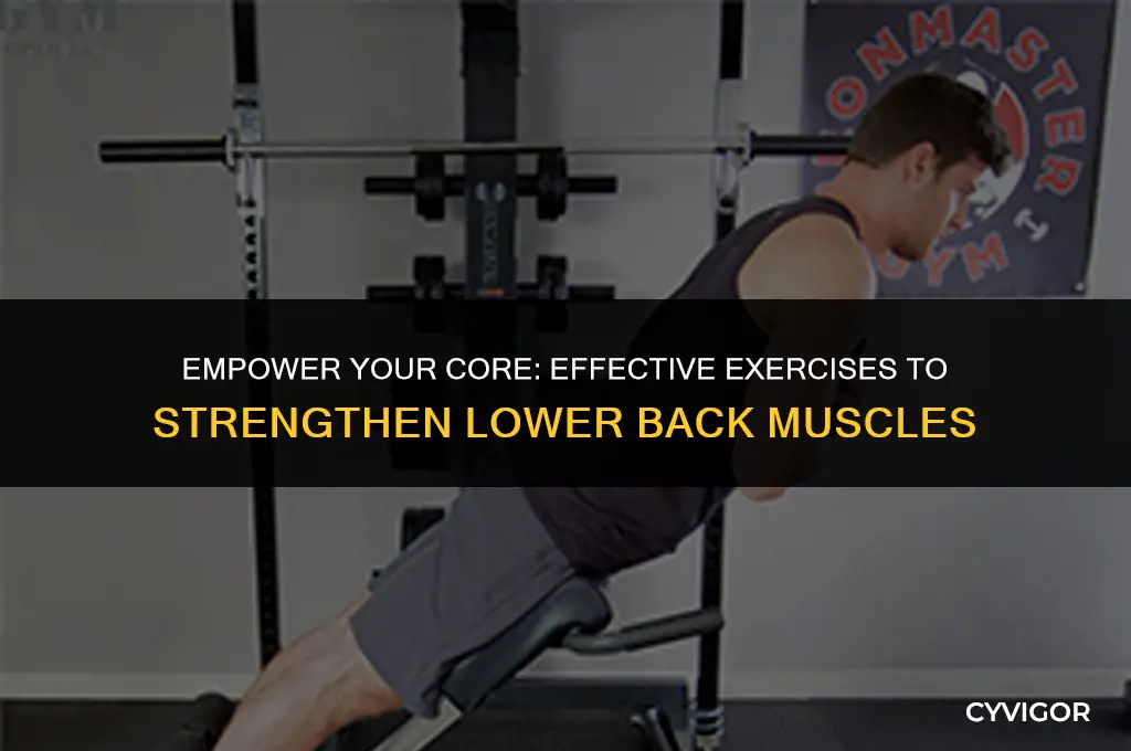 how to strengthen muscles in lower back