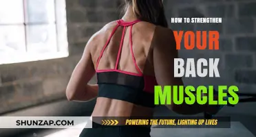 Empower Your Back: A Guide to Building Stronger Muscles