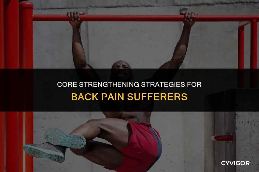 how to strengthen your core muscles with a bad back