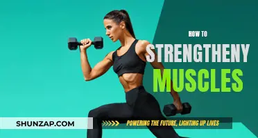 Building Muscle Strength: Effective Strategies for Success