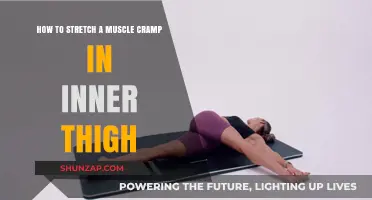 Relieving Inner Thigh Muscle Cramps: Effective Stretching Techniques