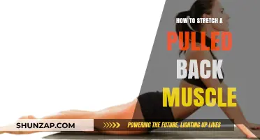 Effective Stretches to Relieve and Heal a Pulled Back Muscle