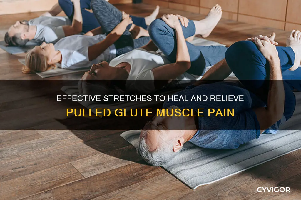 how to stretch a pulled glute muscle