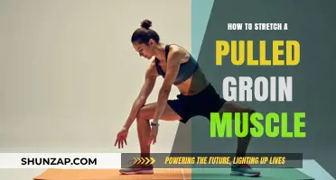 Effective Stretches for Healing a Pulled Groin Muscle Safely