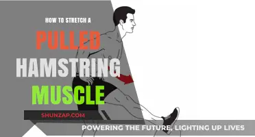 Effective Stretches and Recovery Tips for Pulled Hamstring Relief