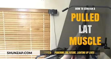 Effective Stretches to Heal and Relieve a Pulled Lat Muscle