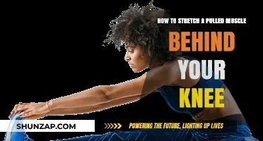 Effective Stretches to Relieve and Heal a Pulled Muscle Behind the Knee