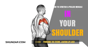 Effective Shoulder Stretches for Pulled Muscles: Relief and Recovery Guide
