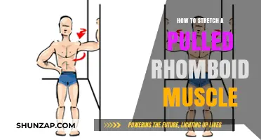 Effective Stretches to Relieve Pulled Rhomboid Muscle Pain and Tension