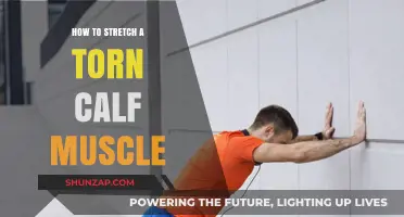 Effective Stretches to Heal a Torn Calf Muscle