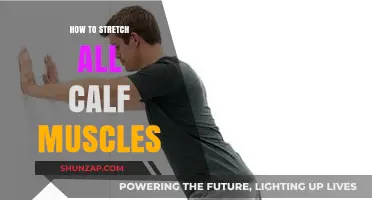 Unlocking Flexibility: A Comprehensive Guide to Calf Muscle Stretches