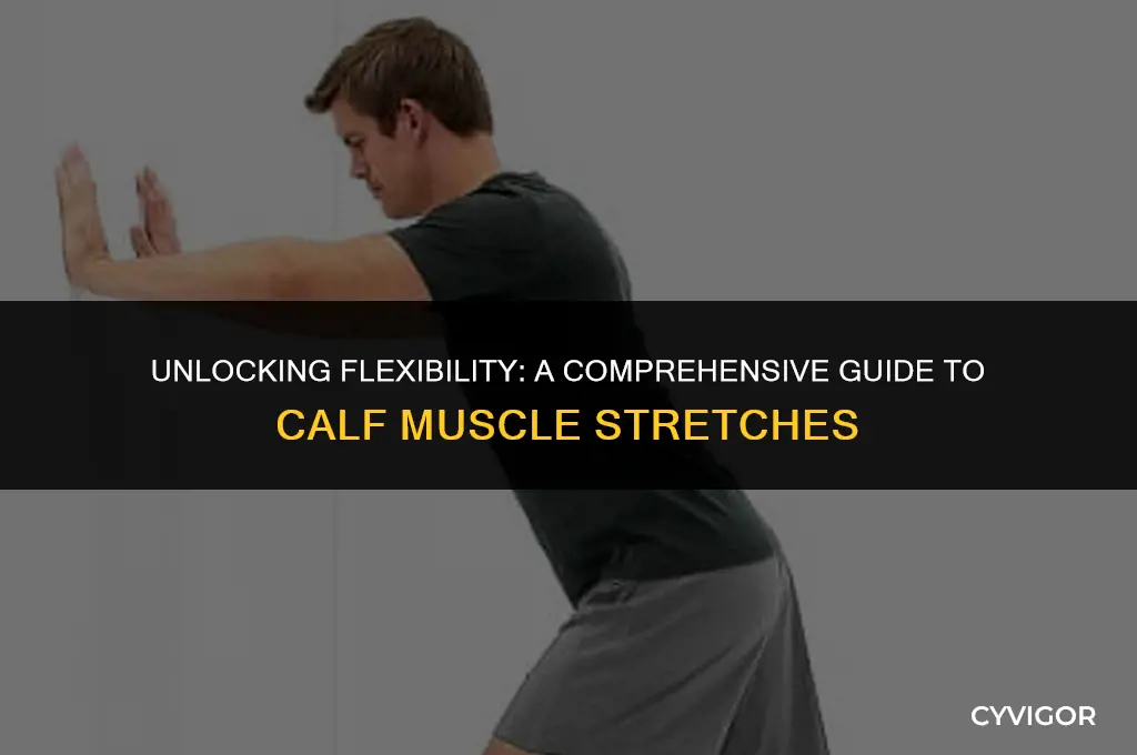 how to stretch all calf muscles