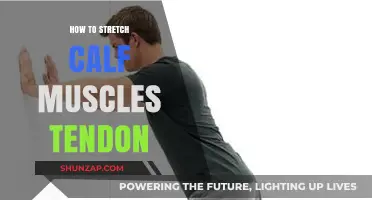 Effective Calf Muscle and Tendon Stretching Techniques for Flexibility