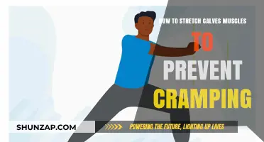 Effective Calf Stretches to Keep Cramps at Bay