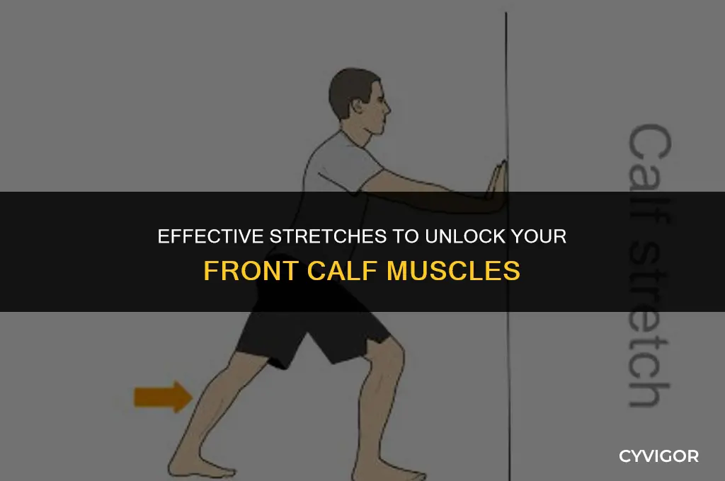 how to stretch front calf muscle
