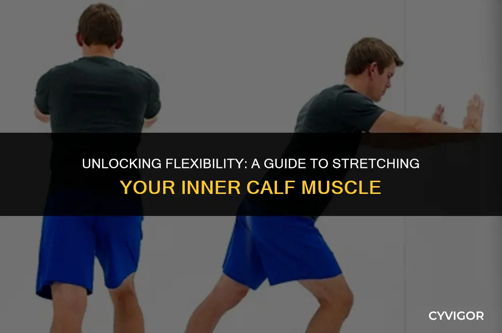 how to stretch inner calf muscle
