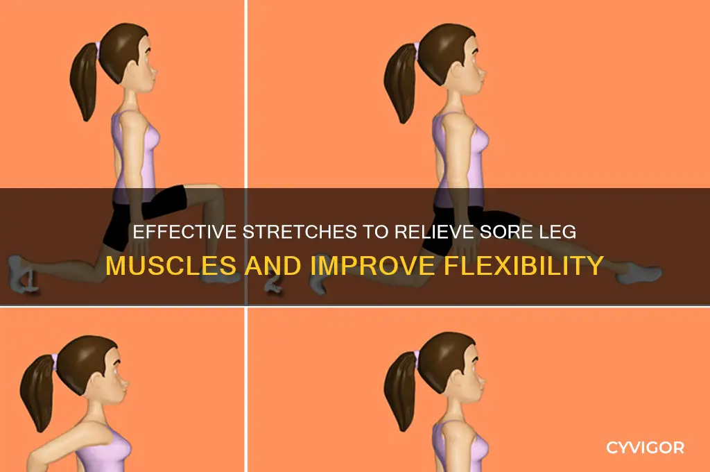 how to stretch leg muscles sore