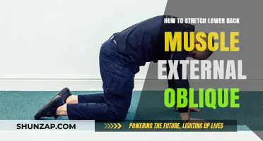 Relieve Lower Back Pain: Effective External Oblique Stretches