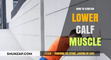 Effective Lower Calf Stretches for Flexibility and Relief