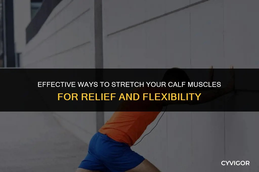 how to stretch muscle under calf
