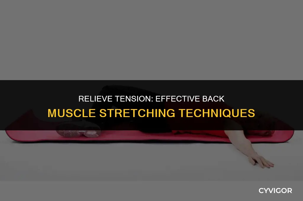 how to stretch my back muscles