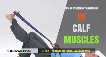 Effective Hamstring and Calf Muscle Stretching Techniques