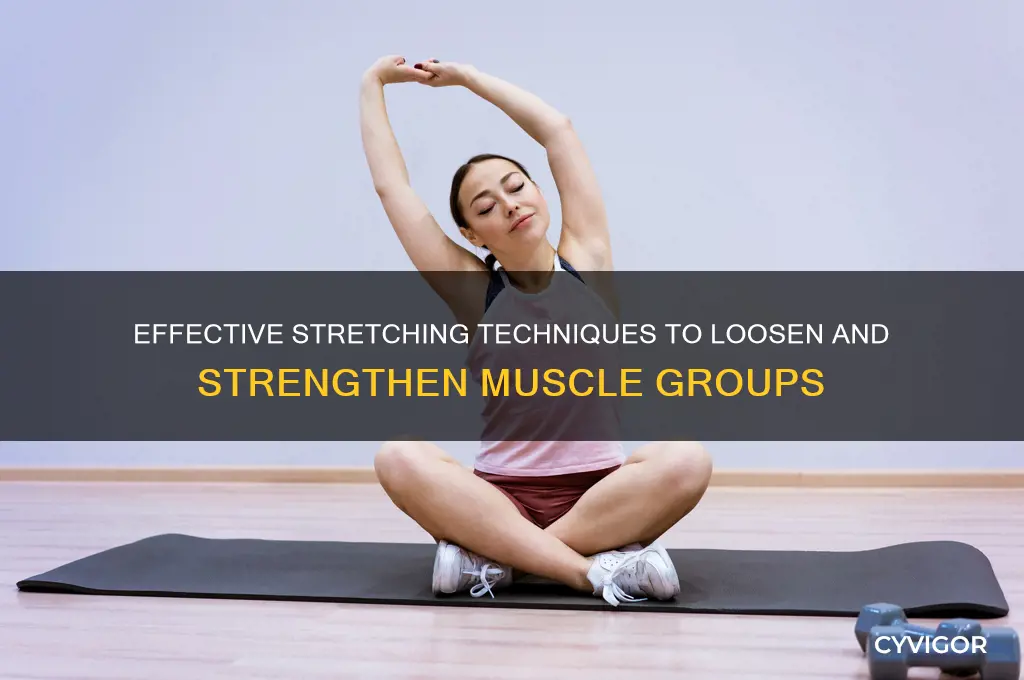 how to stretch out muscle groups