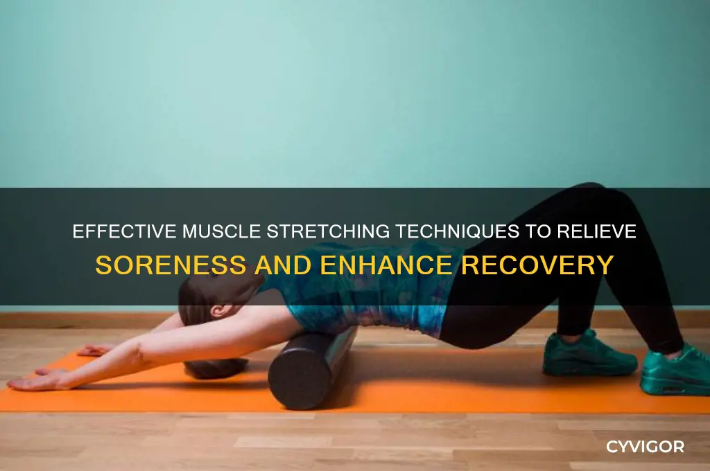 how to stretch out muscles when sore
