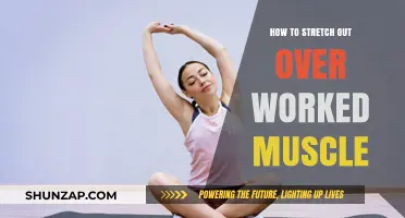 Effective Stretching Techniques to Relieve Overworked Muscles and Prevent Injury